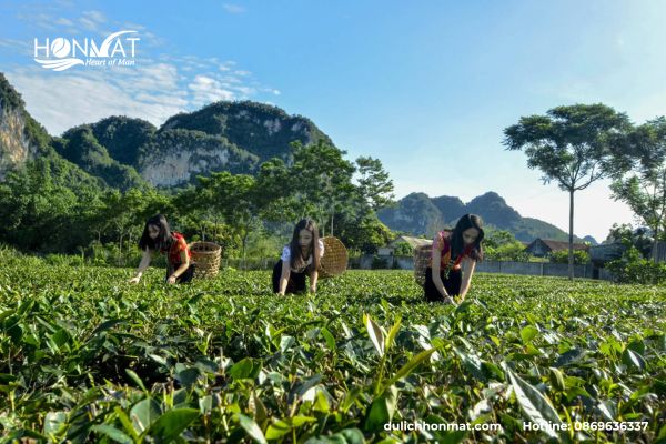 Vườn quốc gia Pù Mát – Nét hoang sơ giữa đại ngàn